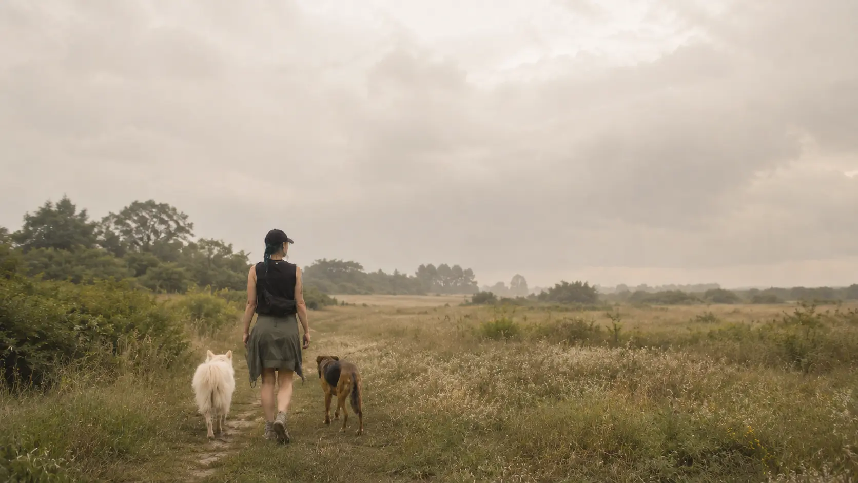 Mensch und Hund gemeinsam unterwegs